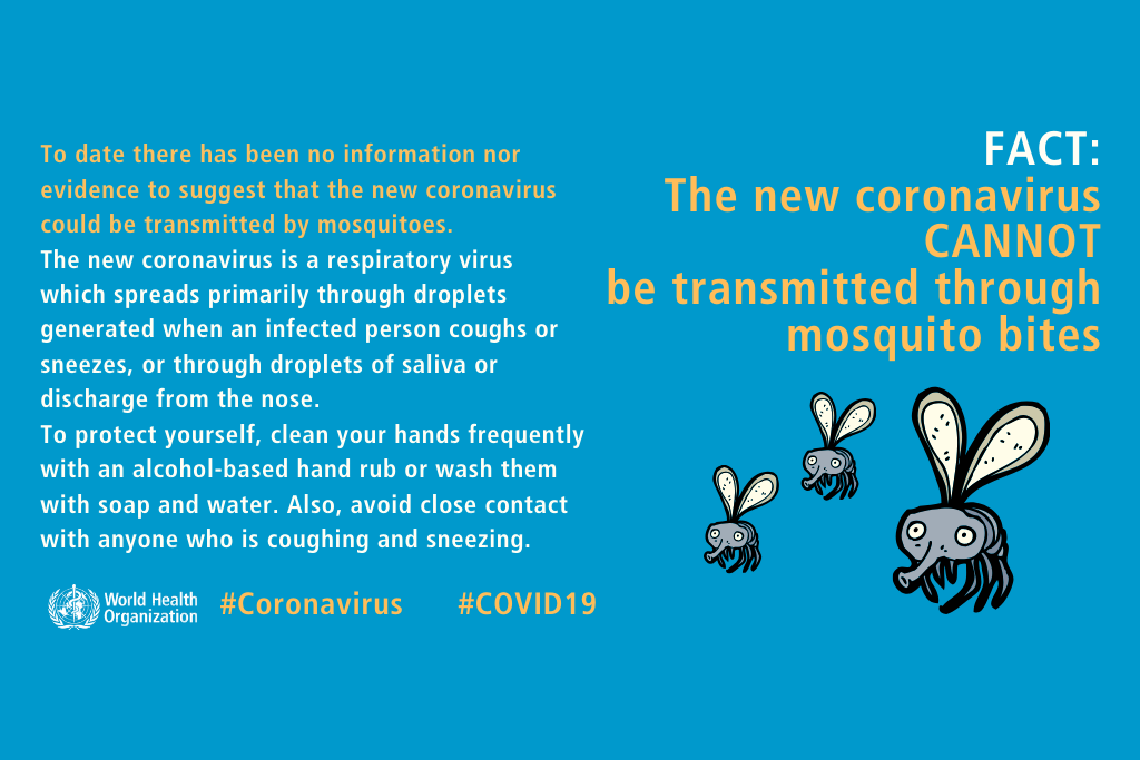 Afbeelding van de WHO met muggen en de mogelijkheid tot overbrengen van coronavirus